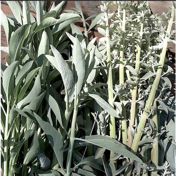 Harmony Gift Set Hand Crafted Home Decor New - Picture 10 of 13